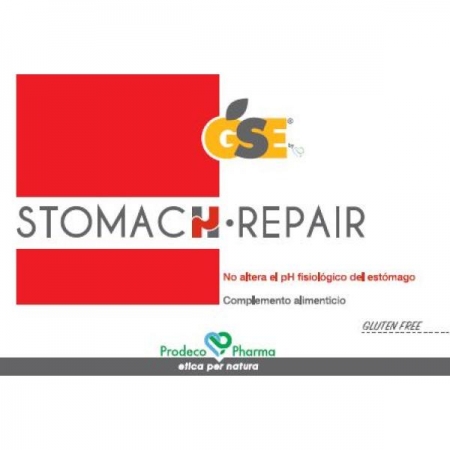 GSE STOMACH DIGESTIVE RAPID 24 COMPRIMIDOS MASTICABLES