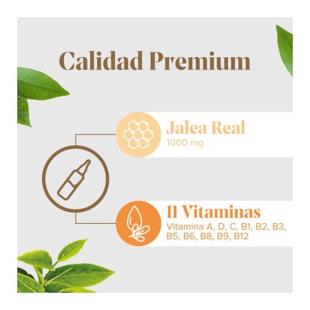 ARKOREAL JALEA REAL VITAMINADA 20 AMPOLAS