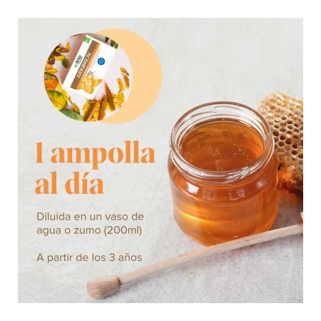 ARKOREAL JALEA REAL VITAMINADA 20 AMPOLLAS