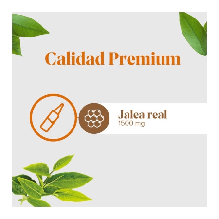 ARKOREAL JALEA REAL 1500 MG SIN AZUCAR 20 AMPOLLAS