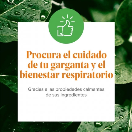 ARKOVOX SPRAY PROPOLIS GARGANTA 30 ML