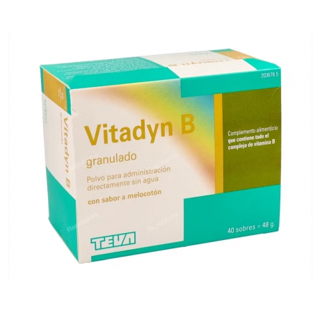 VITADYN B GRANULADO 40 SOBRES 1,2 G