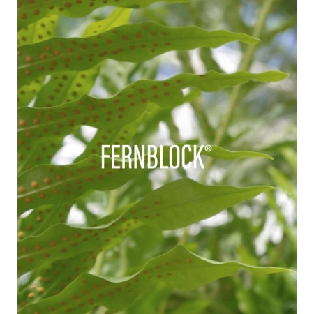 HELIOCARE 360º OIL-FREE COMPACT SPF50+ 10 G COLOR PEARL