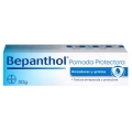 BEPANTHOL POMADA PROTECTORA  100 G