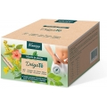 KNEIPP DELGATE INFUSION  20 BOLSITAS