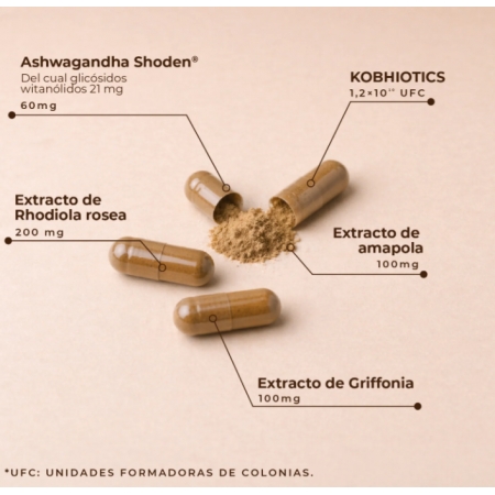 KOBHO CALM 60 CAPSULAS
