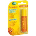 PROPOLAID STICK LABIOS 5.7 ML SPF20